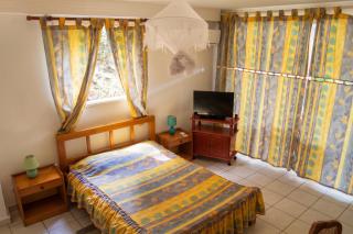 Studio cosy au Moule 30 m² avec jardin privé - 4