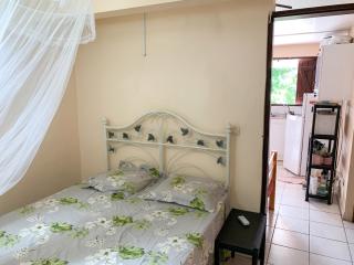 Appartement moderne à Rivière-Pilote, 80 m², jardin - 7