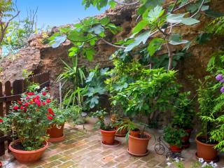 Charming Apartment in Montenero, Mountain View - 1