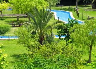 Modern Apartment in Torrevieja with Air Conditioning, 60 m². - 0