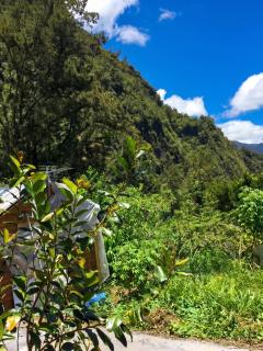 Charmant bungalow à Hell-Bourg avec vue sur montagnes et jardin - Hell-Bourg - 5