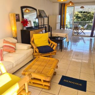 Appartement spacieux à Bois des Nèfles, 70 m², piscine partagée - 5