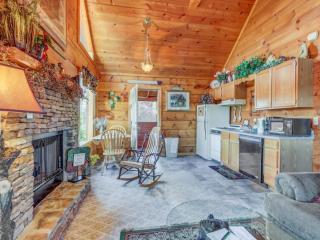 Snuggle Bear Hideaway - Pigeon Forge - 6