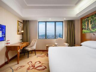 Vienna Hotel Shenzhen Longgang Xinsheng Metro Station - 6