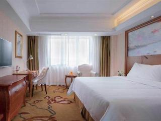 Vienna Hotel Shenzhen Longgang Xinsheng Metro Station - 3