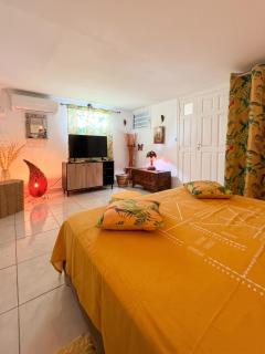 Appartement confortable à Sainte-Anne, 40 m², jardin - 2