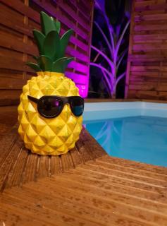 Bungalow cosy au Diamant avec piscine - 2