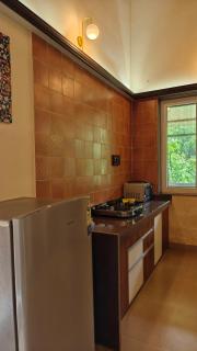 Countryside luxury farmhouse at Umarsadi - 9