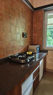 Countryside luxury farmhouse at Umarsadi - 5