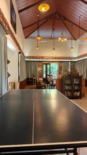 Countryside luxury farmhouse at Umarsadi - 3