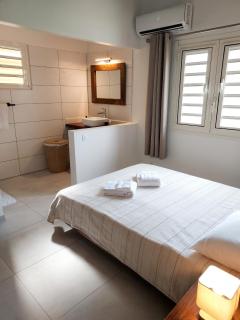 Appartement à Ducos - 35 m² avec jardin - 1