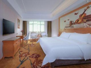 Vienna International Hotel Meizhou Dapu - 6