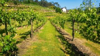 Charming villa in Cividade, 150 m² with private pool - 1