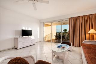 Elegant Apartment Lowlands + Pool - 9