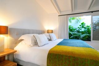 Paradisiacal Villa in Saint Barthélemy with Private Pool - 4