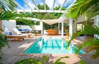 Paradisiacal Villa in Saint Barthélemy with Private Pool - 3