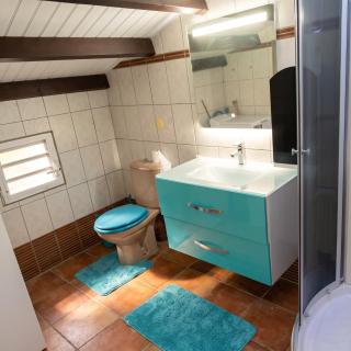 Appartement moderne au Moule avec terrasse et jardin - 7