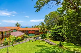Studio charmant à Sainte-Anne avec vue sur la mer 23 m² - 4