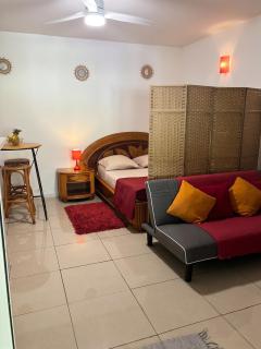 Charmant studio avec vue jardin à Morne-à-l'Eau, 30 m² - 8