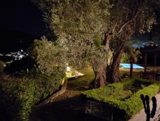 Casale Oliva Cefalù Farmhouse - Pettineo - 1