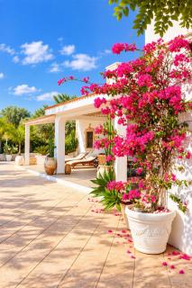 VILLA GAIA - 0
