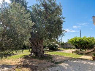 Cosy Apartment in Carovigno, 40 sqm with Garden - 9