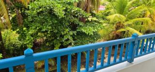 Studio agréable Le Diamant 39 m², jardin - 4