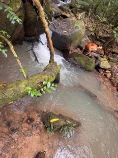 Refugio das Águas Verdes - "seu paraíso particular em meio à natureza" - 6