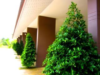 Pran Heaven Resort -  - 8