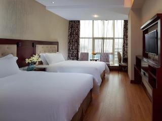 Vienna Hotel Shenzhen Pinghu Center Metro Station - 1