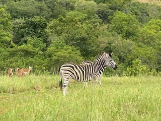 Wide Horizons Mountain Retreat, Eswatini, Swaziland, 26KM from Malkerns - 0