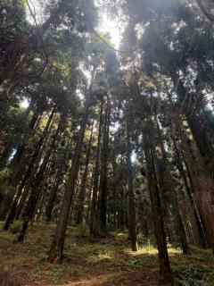 Mount Vision - 8