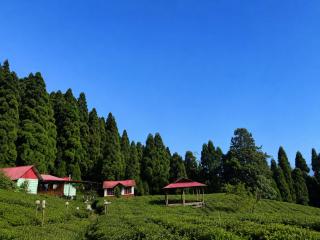 Mount Vision - 6