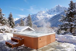 Marmotte Mountain Eco Lodge - 6
