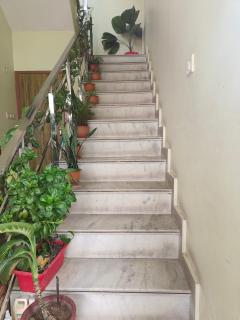 Serene Haven - 7