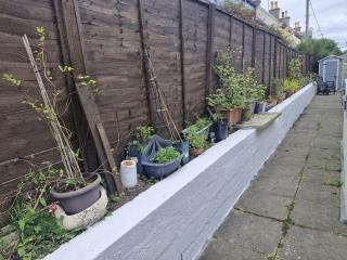 Spacious 3 Bedroom House with outdoor patio area for outdoor dining and WIFI - 2