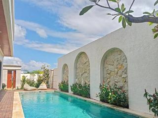 NEW 2 Bed Rooms Villa in Nyanyi 10 Mins to Canggu - 0