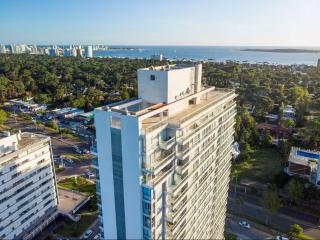 Suite 1203 - Full amenities - 2