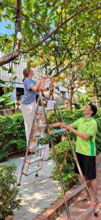 Tam Coc Golden Sky Homestay - 5