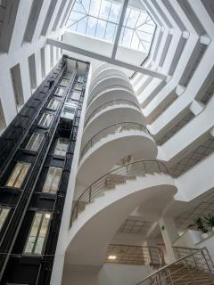 Alvina Complex - 8