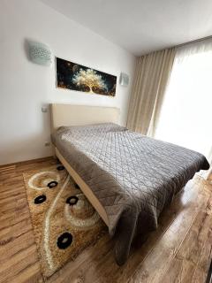 Apartament Uricani - 2