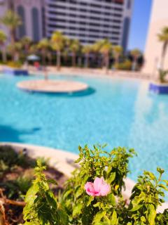 BRAND NEW!Laketown Wharf 233! Beautiful 3 BD, Great Amenities, And Great Location - 6