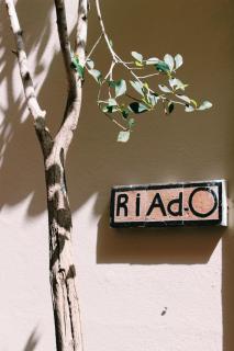 Riad O - Marrakesch - 5