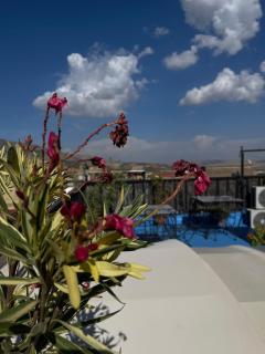 Skilfo housse - Fez - 0