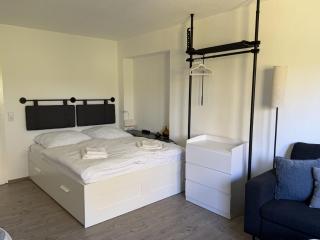 Ferienwohnung Orkequelle - Modernes Apartment für 2 Personen im Hochsauerland - 1