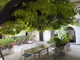 Prem Niwas a 300-year-old Boutique Heritage Haveli - 9