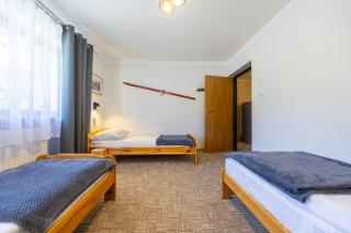 Ski Lodge przy Gondoli - Szczyrk - 7