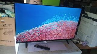 The Sower - 8