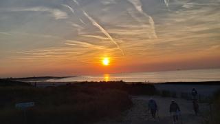 Breskens Chalet Strand Oase mit Zaun & Sichtschutz J281 - 8