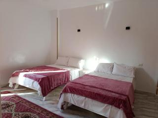 Crocodile Nile View 2-bedrooms Apartment - 2